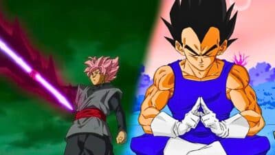 Vegeta et black goku