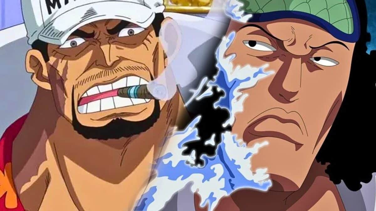 amiral aokiji et akainu