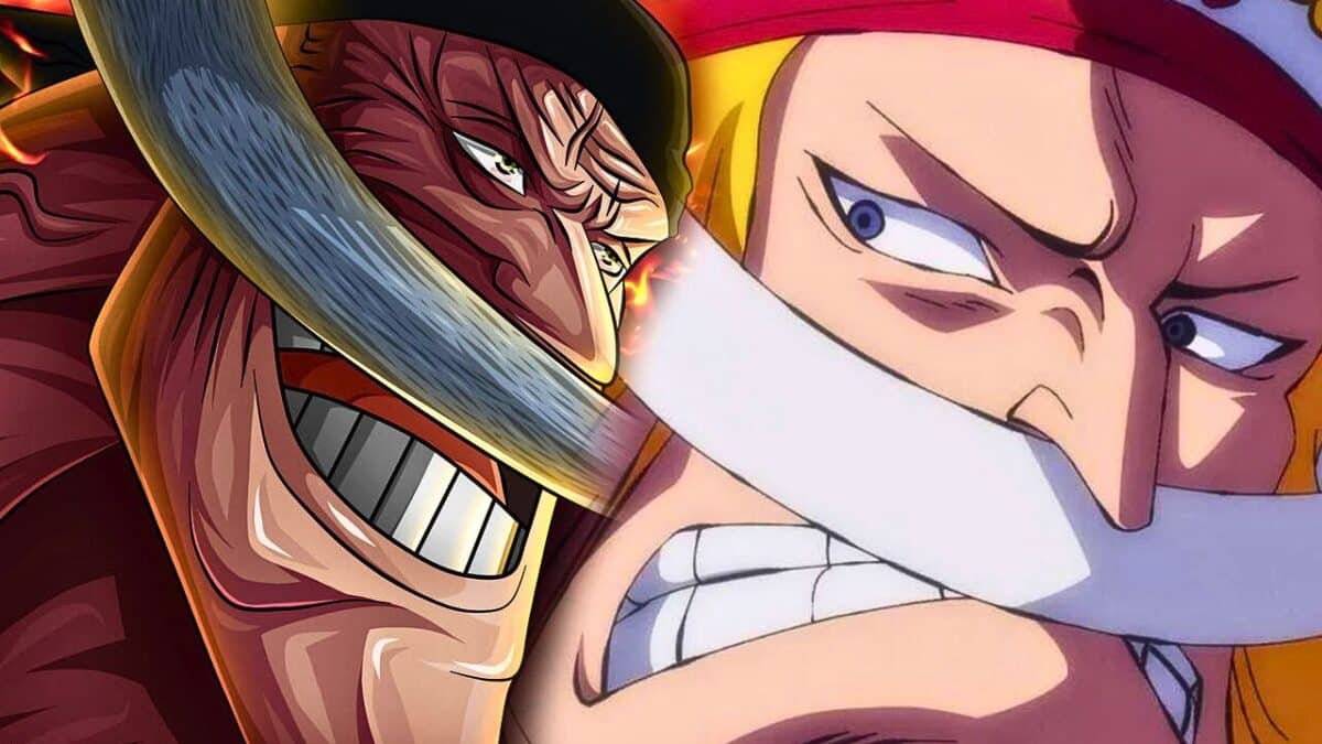 One Piece 1096 : Barbe Blanche et la race des Boucaniers ! Quel lien les  unit ?