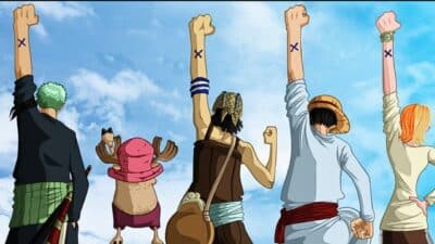 one piece les poings leves mugiwara