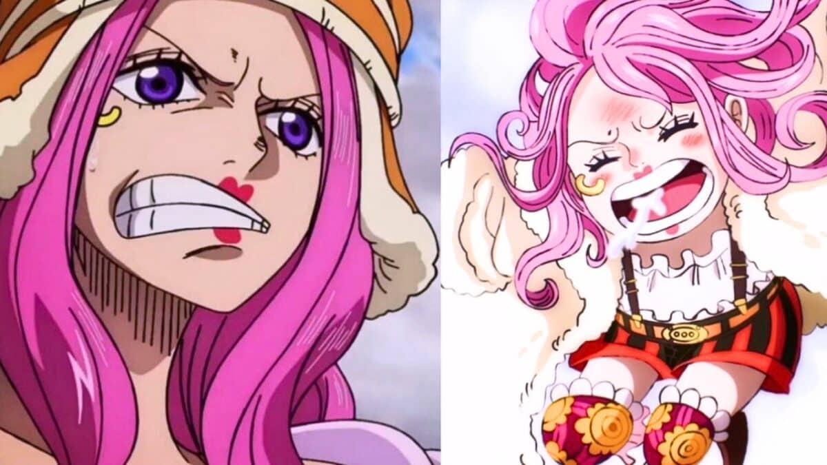 bonney one piece pirates petite et grande