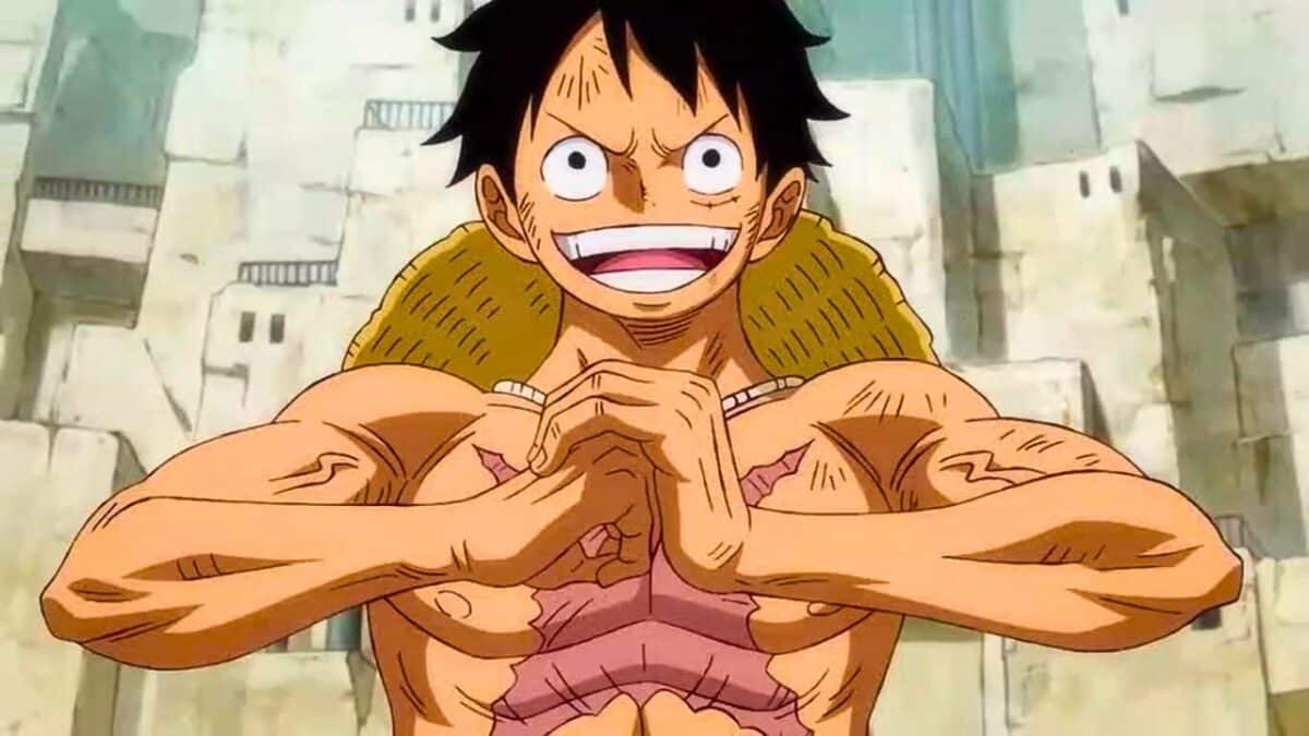one piece luffy poings