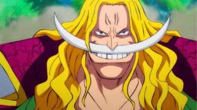 one piece barbe blanche jeune