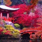 Impossible de passer à côté : Le Japon vous propose ces 10 expériences incontournables !