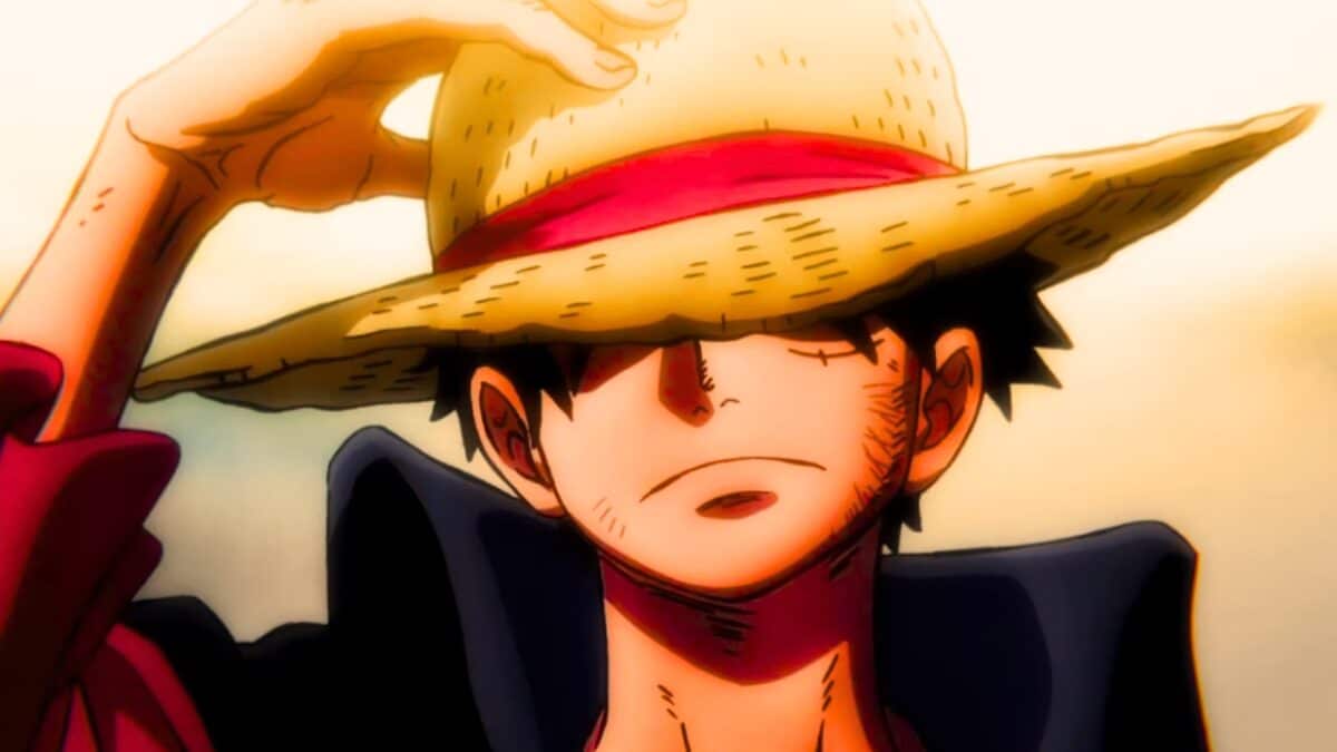 luffy chapeau tenu